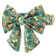 Rifle Paper Co. x TFD Citrus Floral Lady Bow Collar