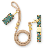 Rifle Paper Co. x TFD Citrus Floral Collar Walk Set from The Foggy Dog
