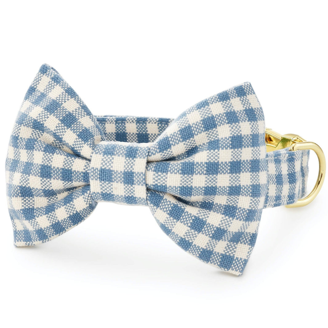 foggy dog bow tie
