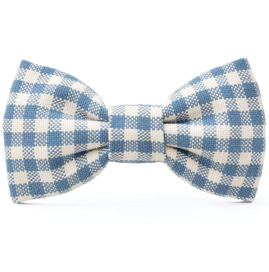 foggy dog bow tie