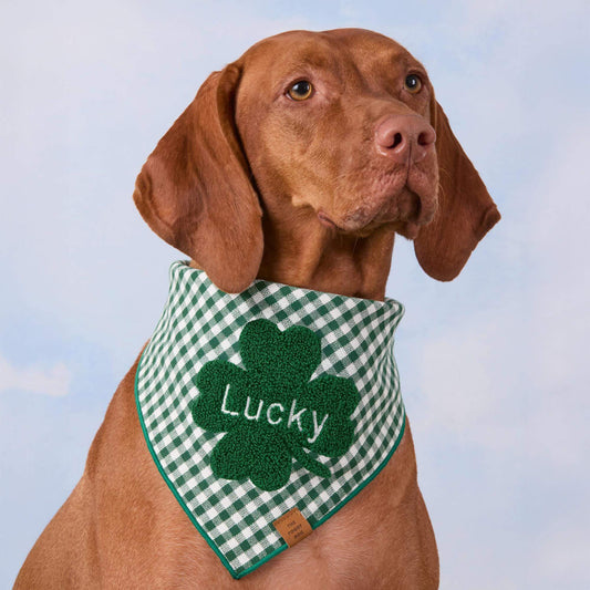 #Modeled by Nala (70lbs) in Large