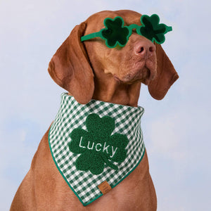 #Modeled by Nala (70lbs) in Large