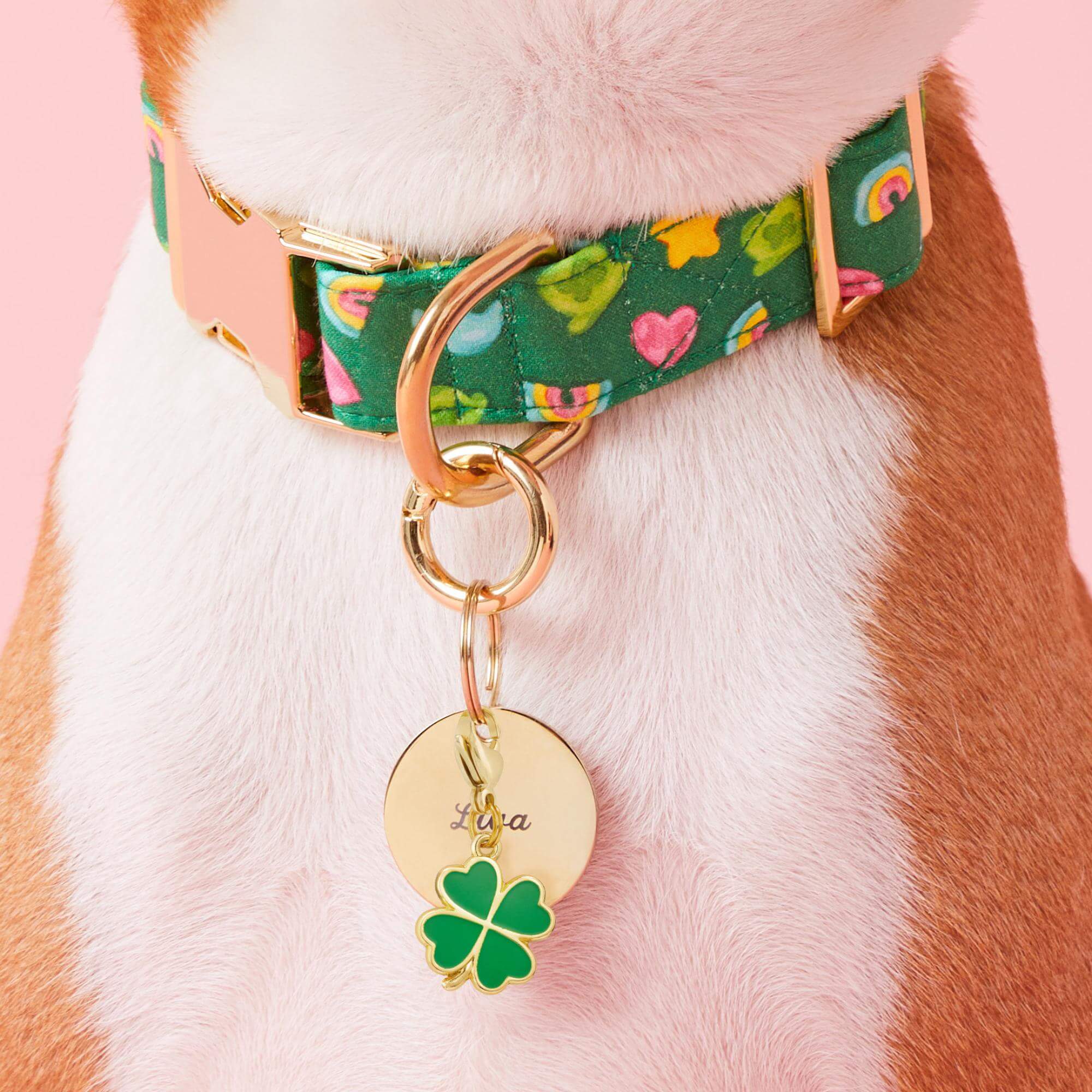 Lucky Clover Collar Charm – The Foggy Dog