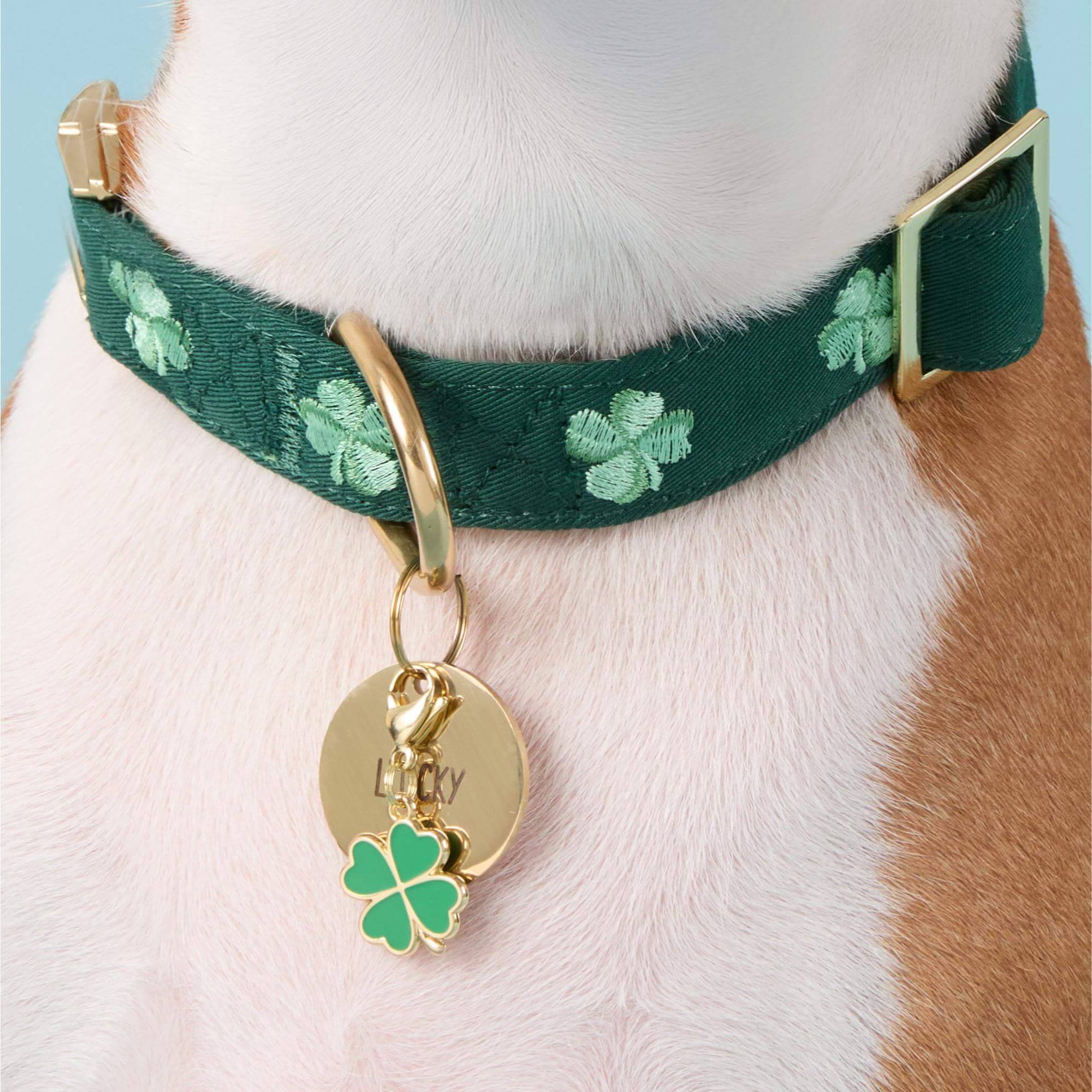 るぅと birthday goods 2025 Clover key リング Lucky Clover Collar Charm – The Foggy Dog