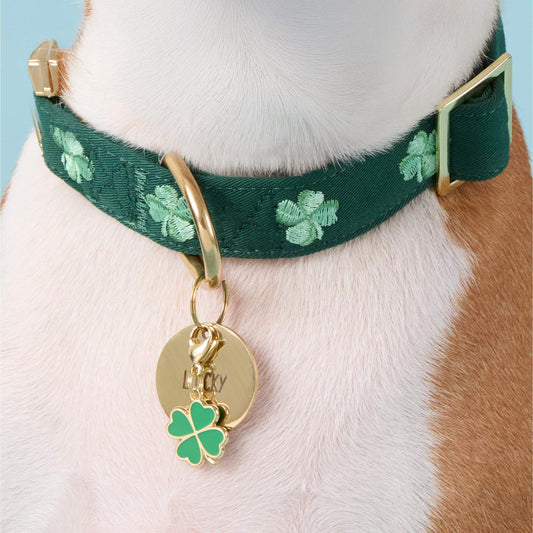 Lucky Clover Collar Charm from The Foggy Dog