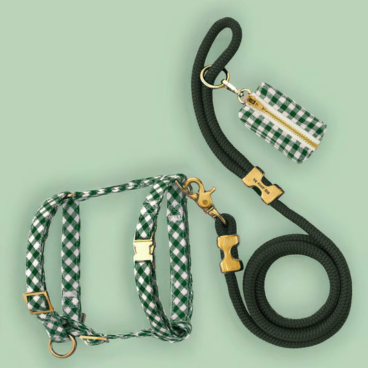 Evergreen Gingham Harness Walk Set from The Foggy Dog