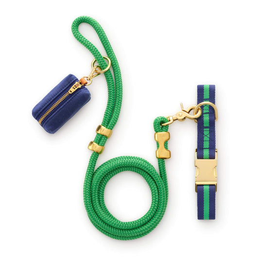 Camden Striped Webbing Collar Walk Set from The Foggy Dog