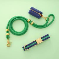 Camden Striped Webbing Collar Walk Set from The Foggy Dog