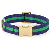 Camden Striped Webbing Dog Collar from The Foggy Dog