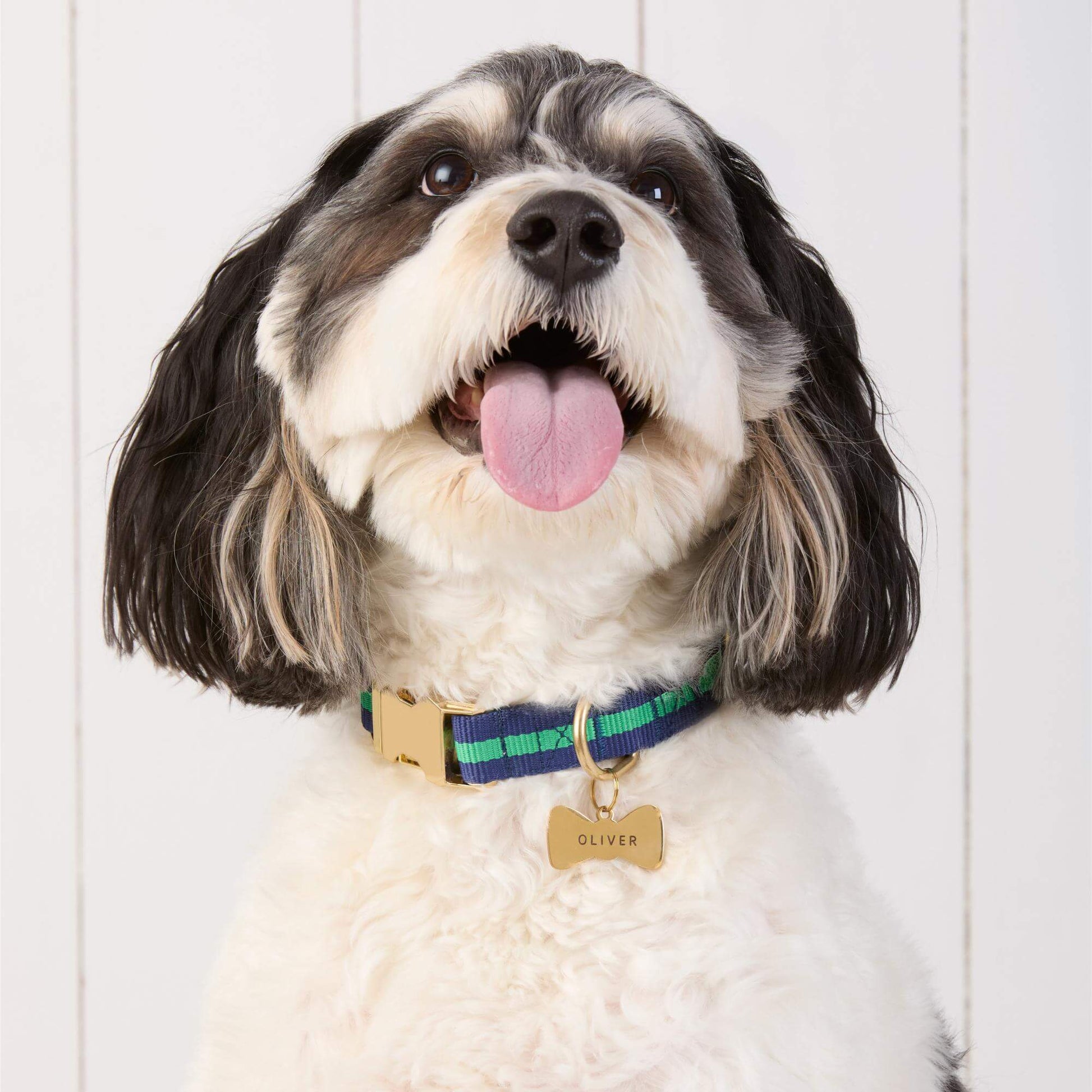 #Modeled by Reese (45lbs) in Medium