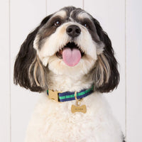 #Modeled by Reese (45lbs) in Medium