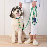 #Modeled by Reese (45lbs) in a Medium collar and Standard leash