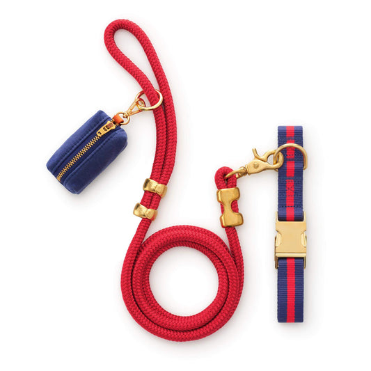 Mariner Striped Webbing Collar Walk Set from The Foggy Dog