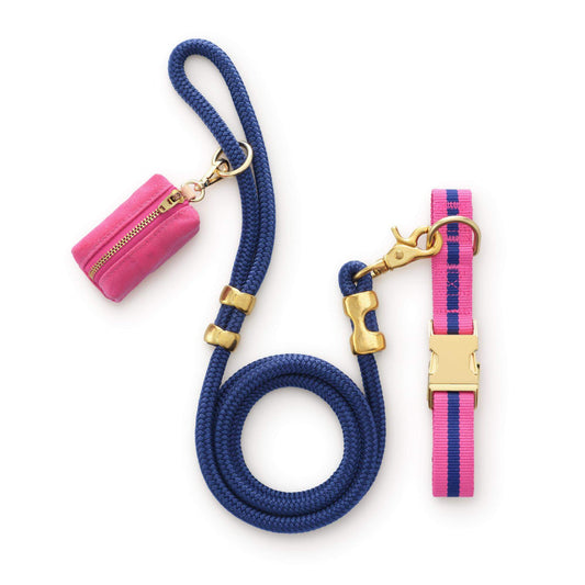 Sloane Striped Webbing Collar Walk Set from The Foggy Dog