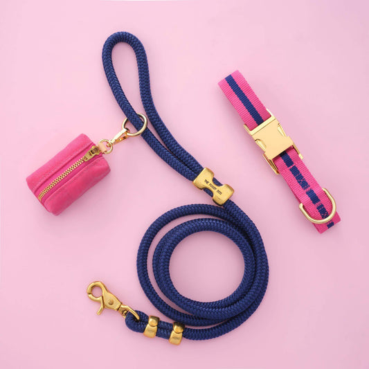 Sloane Striped Webbing Collar Walk Set from The Foggy Dog