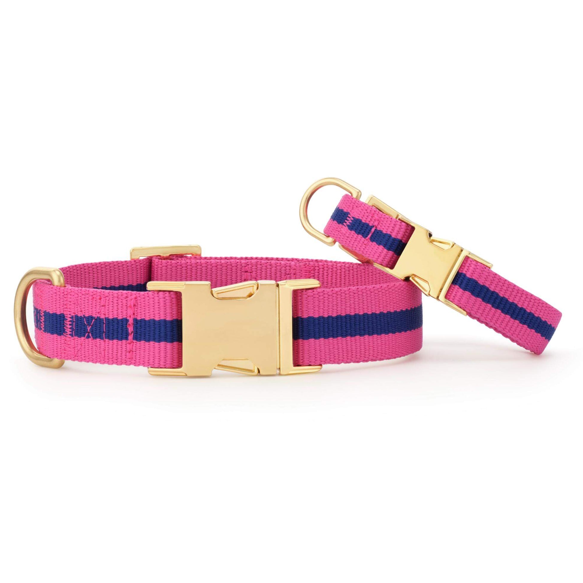 Sloane Striped Webbing Dog Collar from The Foggy Dog