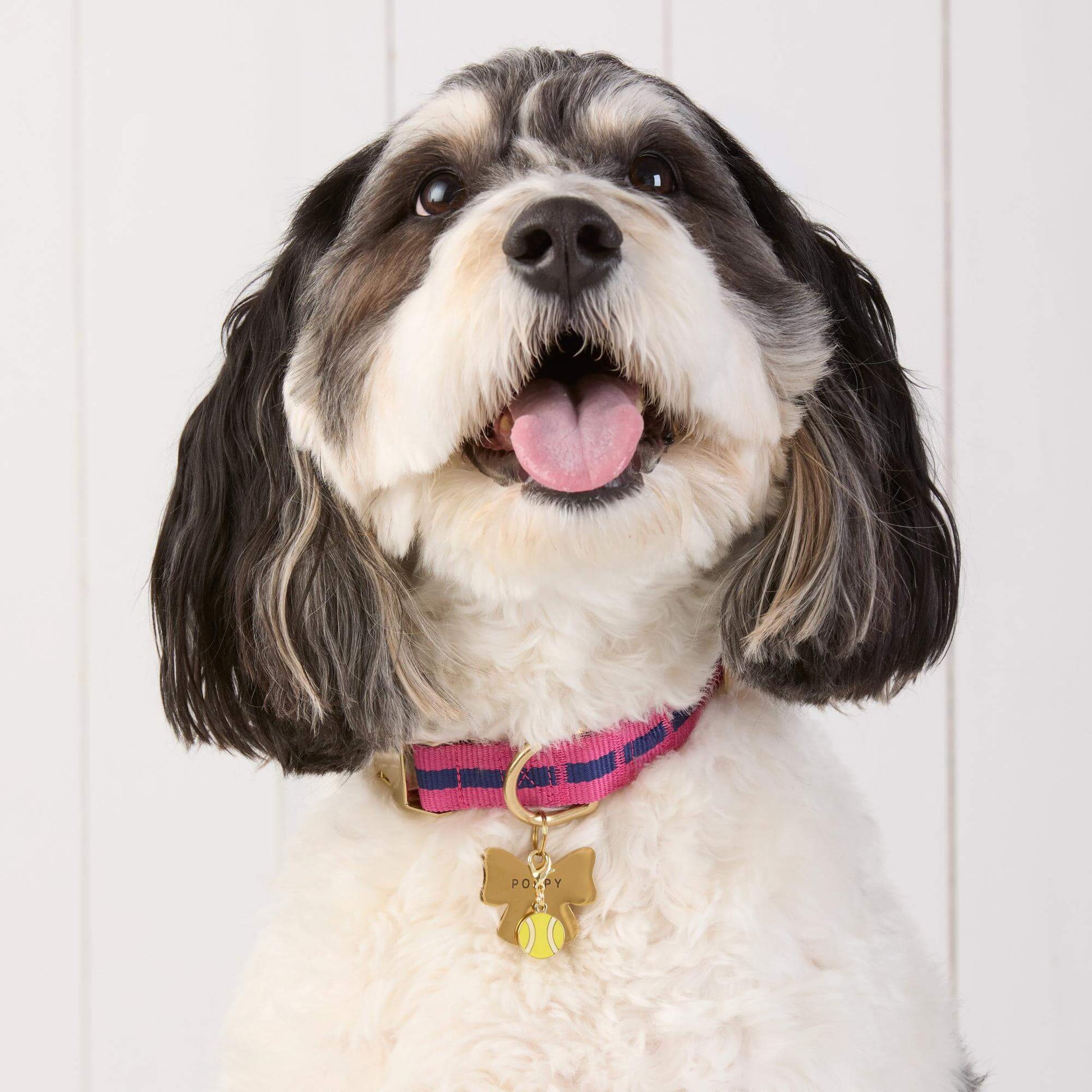 #Modeled by Reese (45lbs) in Medium