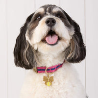 #Modeled by Reese (45lbs) in Medium