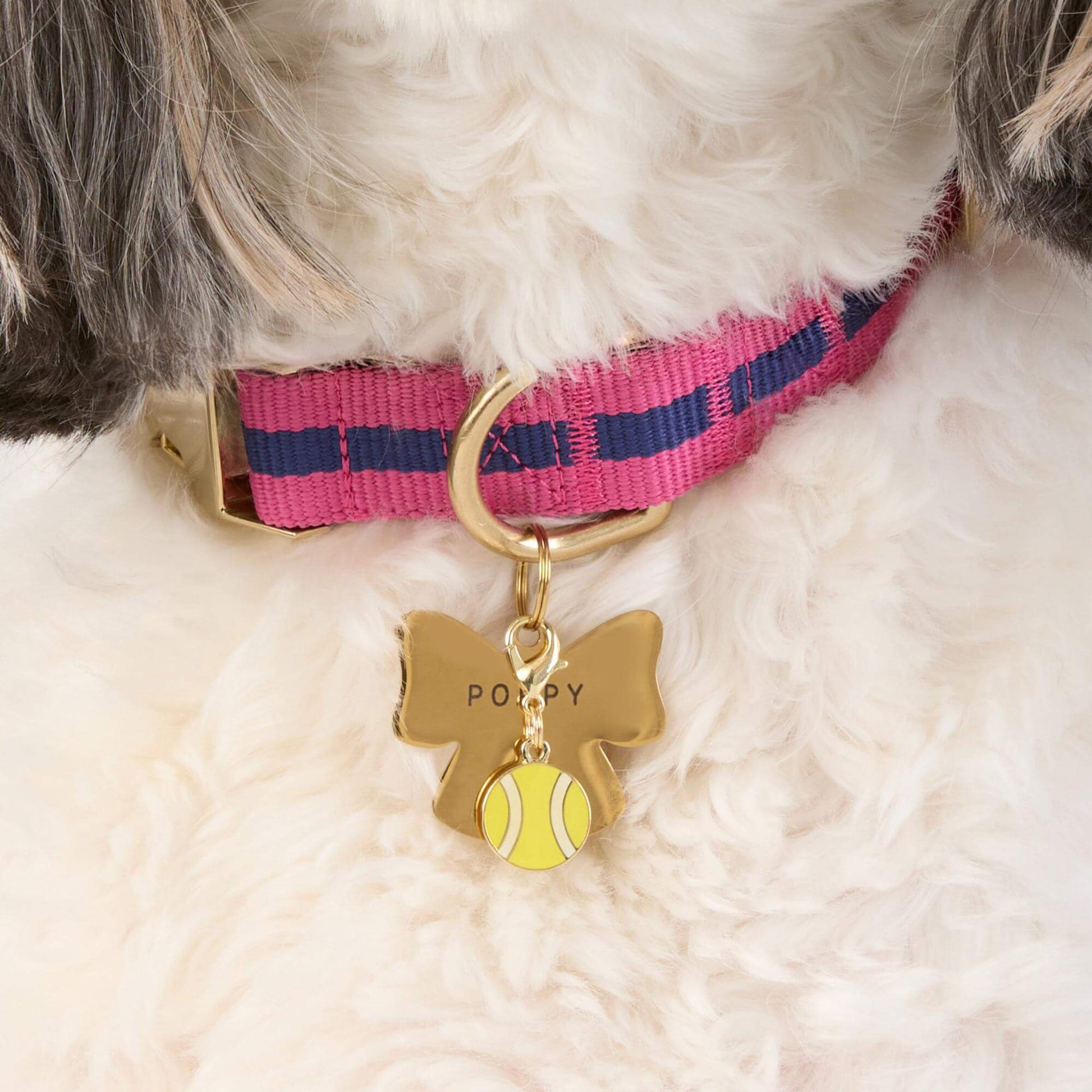 #Modeled by Reese (30lbs) in a Large pet ID tag
