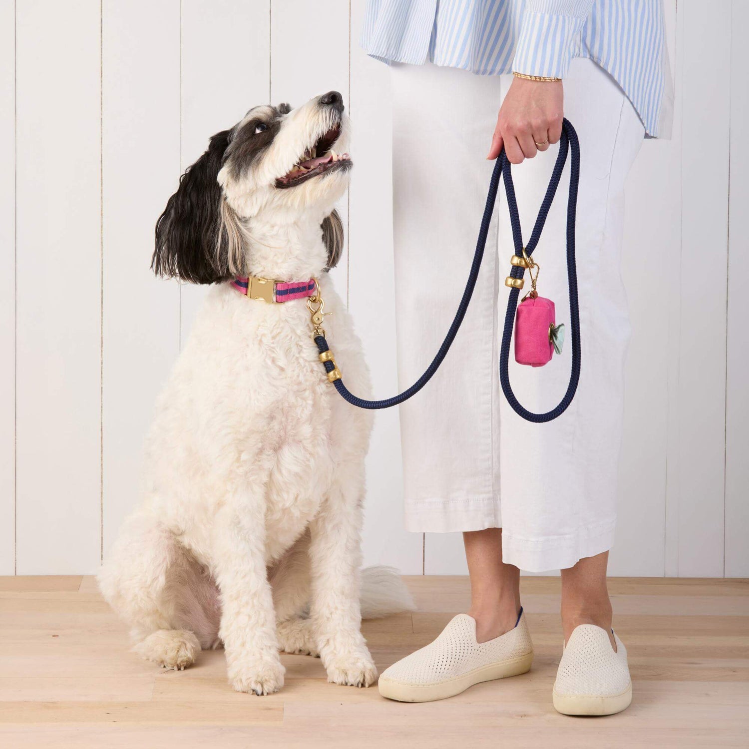 #Modeled by Reese (45lbs) in a Medium collar and Standard leash