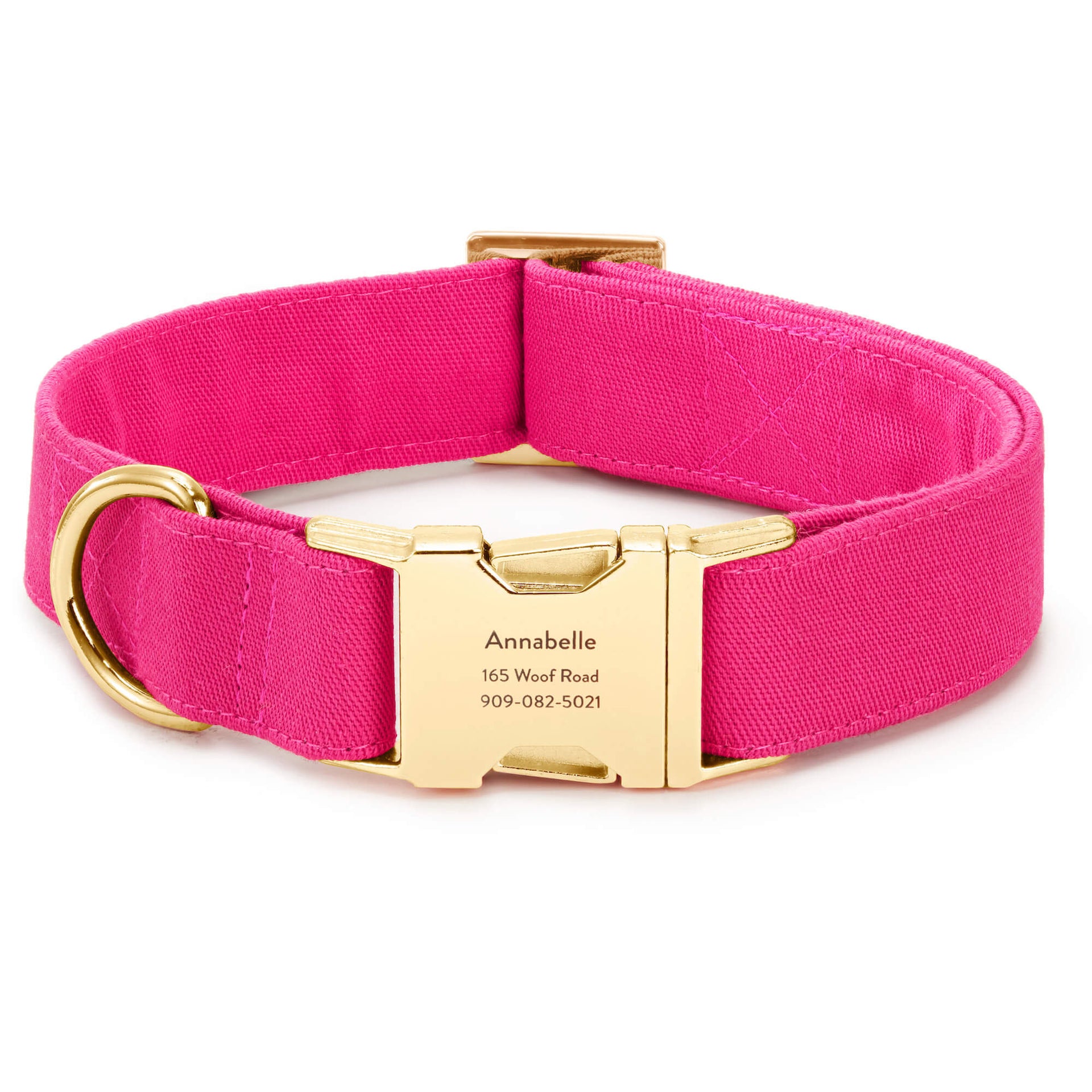 Hot Pink Dog Collar in Small