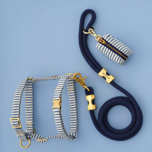 Lake Blue Stripe Harness Walk Set view 2