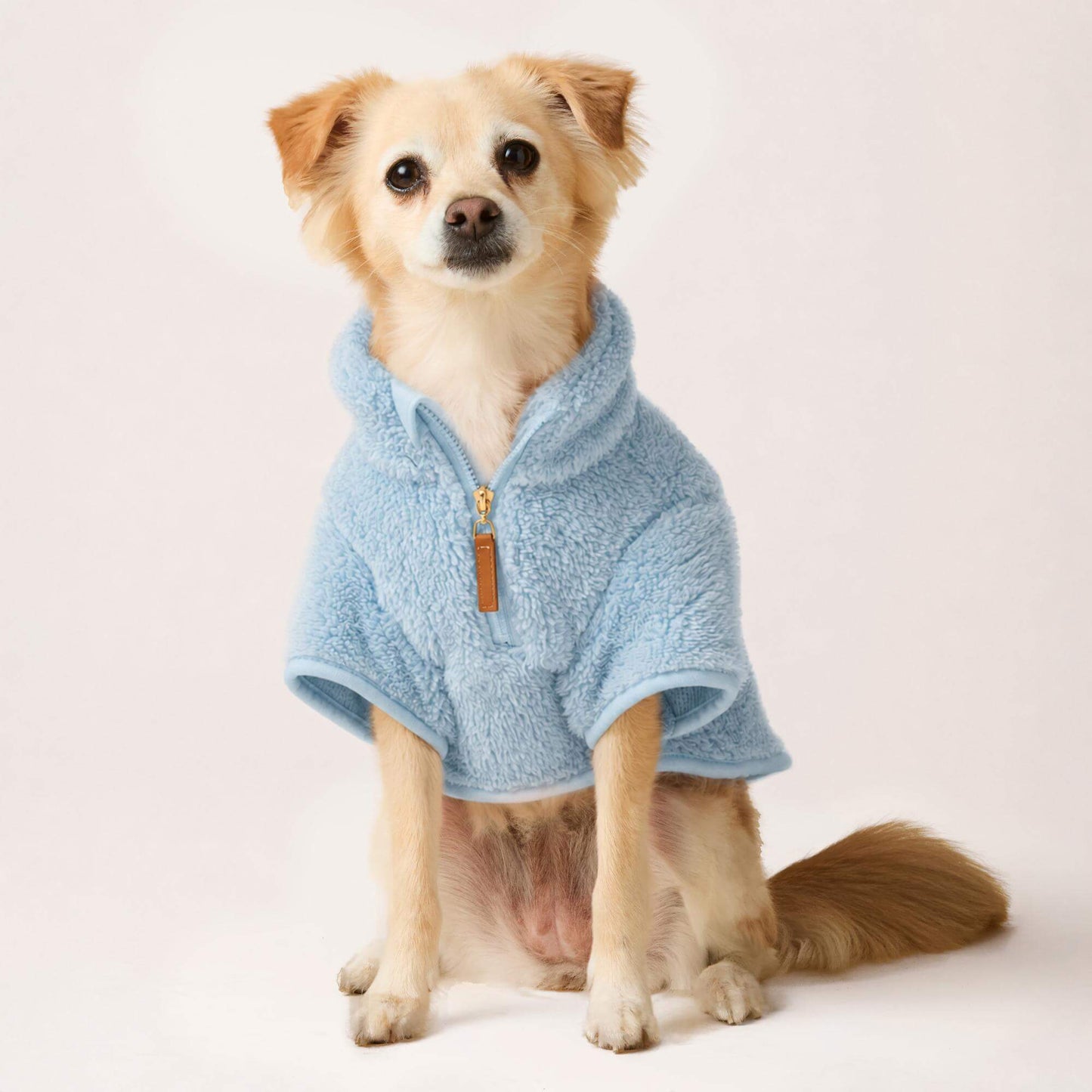 #Modeled by Fauna (14lbs) in Small