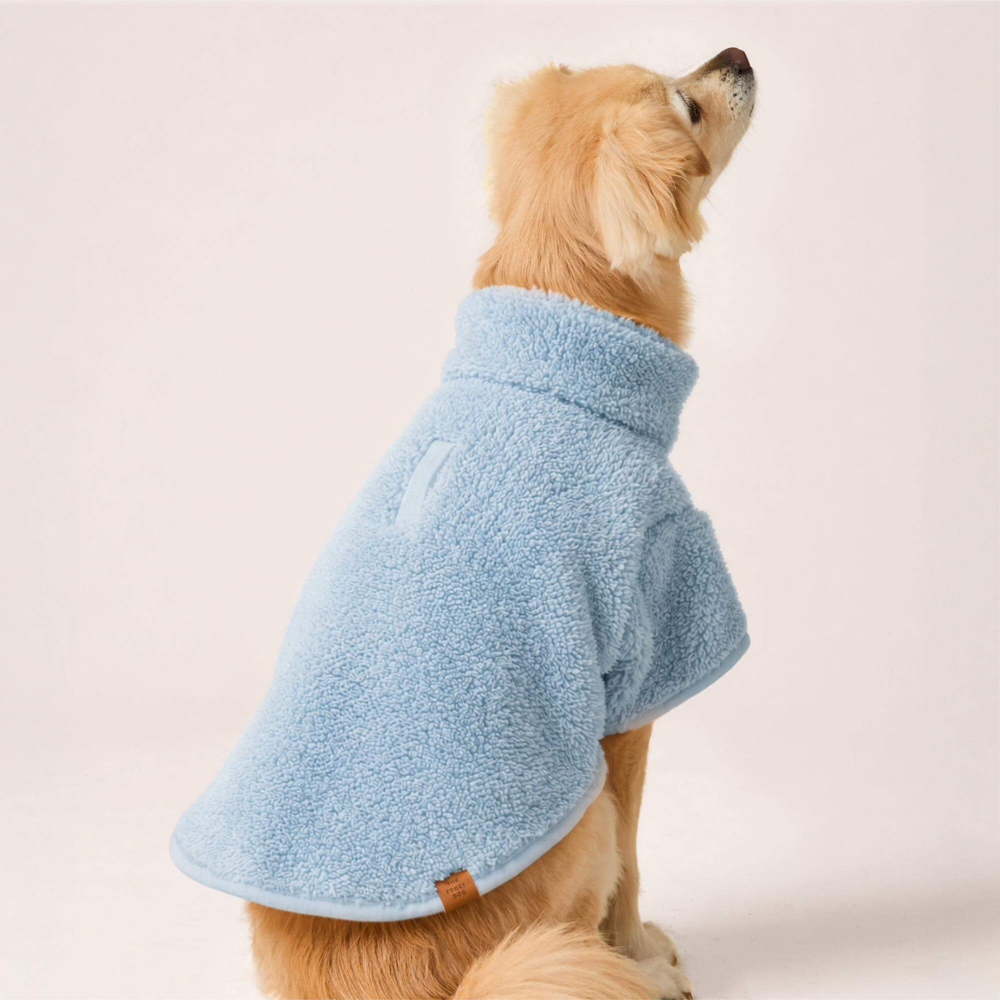 #Modeled by Fauna (14lbs) in Small