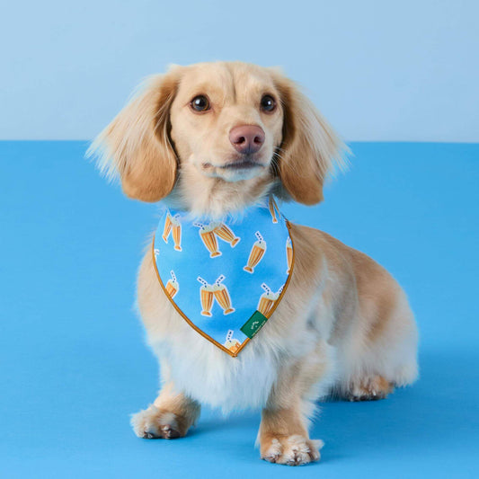 #Modeled by Finley (12lbs) in Small