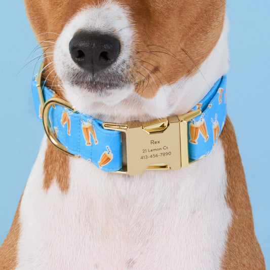 #Modeled by Ricky (26lbs) in Medium
