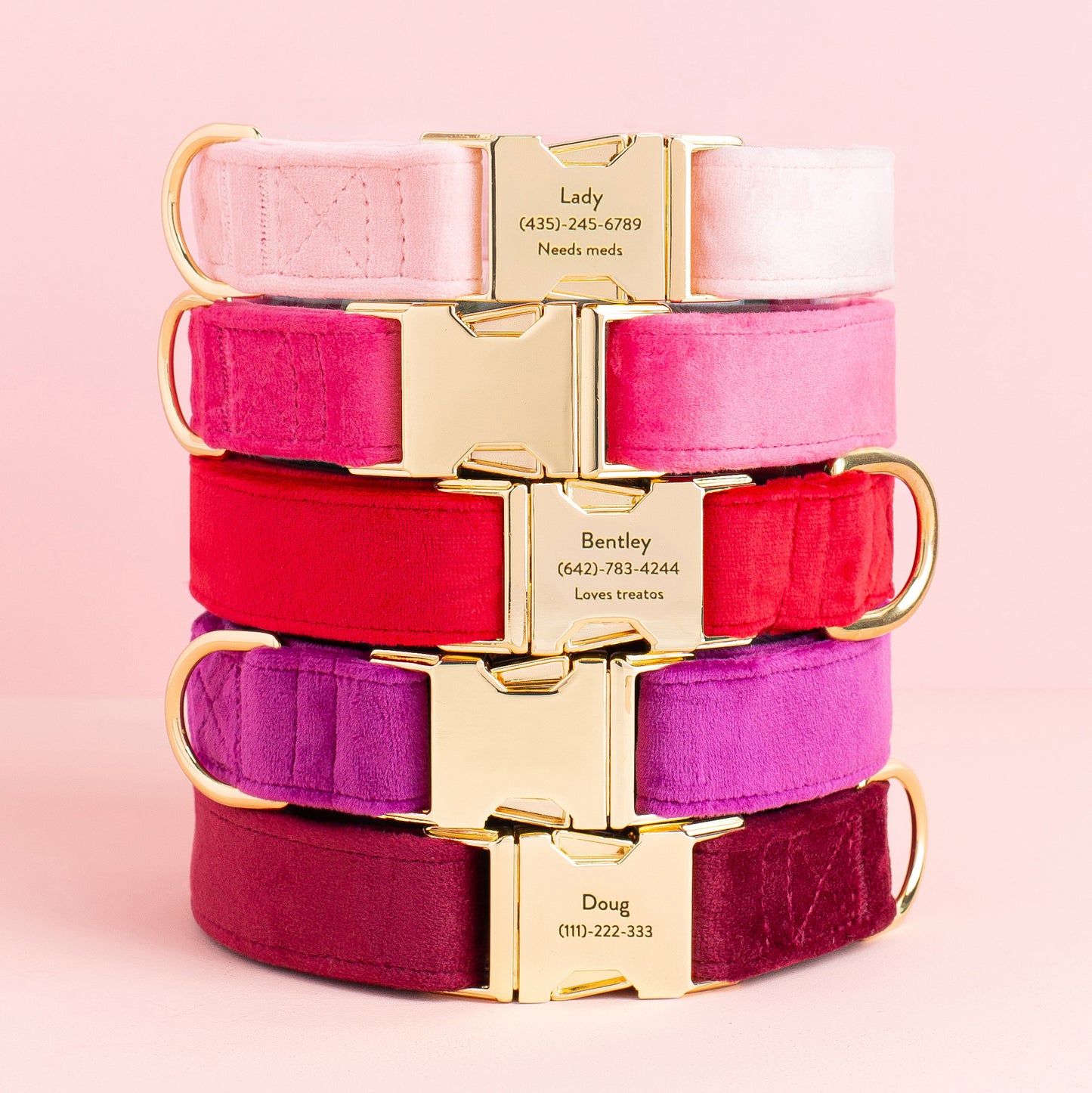 Cranberry Velvet Dog Collar