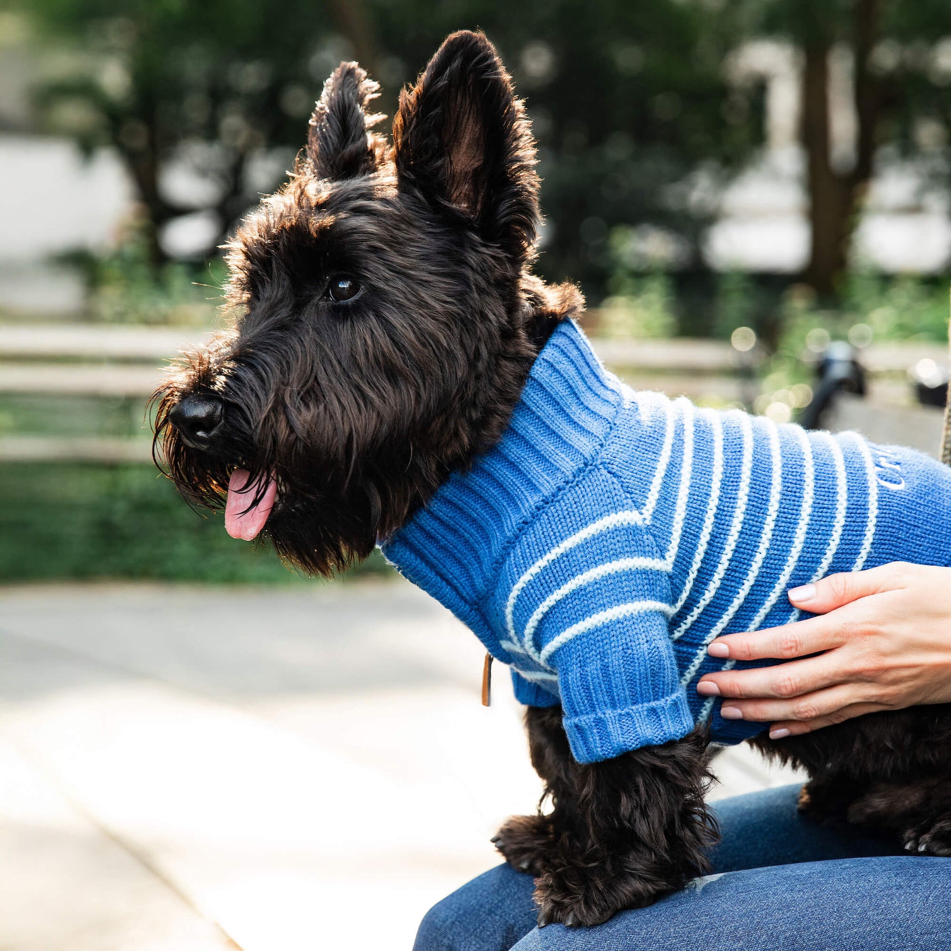 #Modeled by Nico (15lbs) in Medium