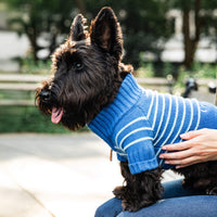 #Modeled by Nico (15lbs) in Medium