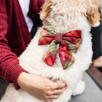 #Modeled by Millie (32lbs) in a Medium collar and Large lady bow