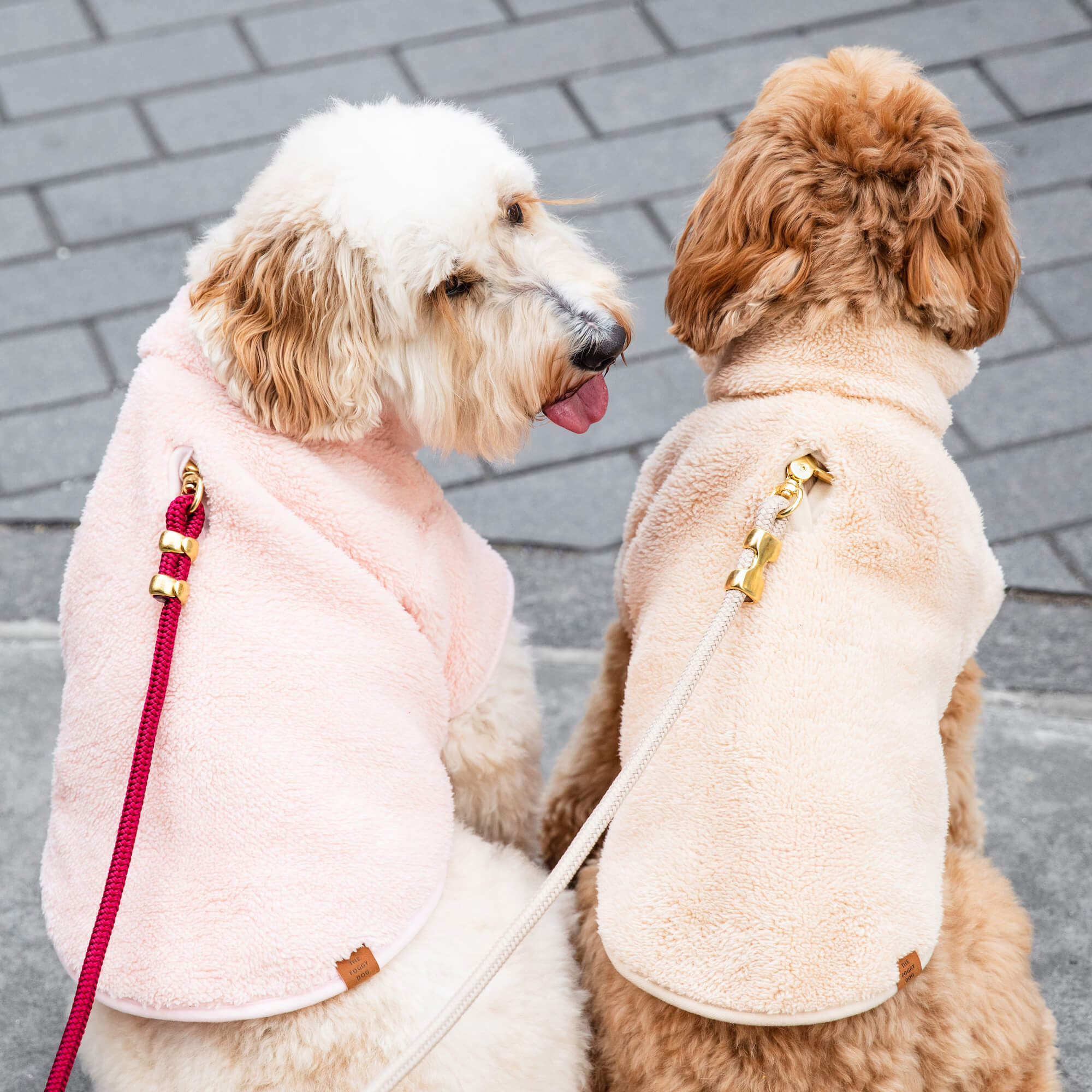 Wheat Quarter-Zip Sherpa Dog Jacket – The Foggy Dog