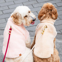 #Modeled by Millie (32lbs) and Murray (23lbs) both in Medium