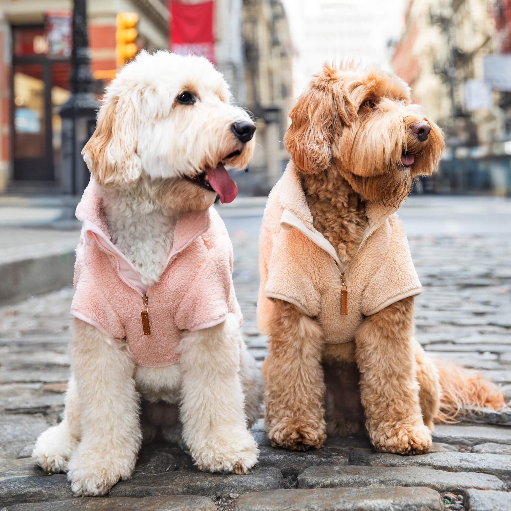 #Modeled by Millie (32lbs) and Murray (23lbs) both in Medium