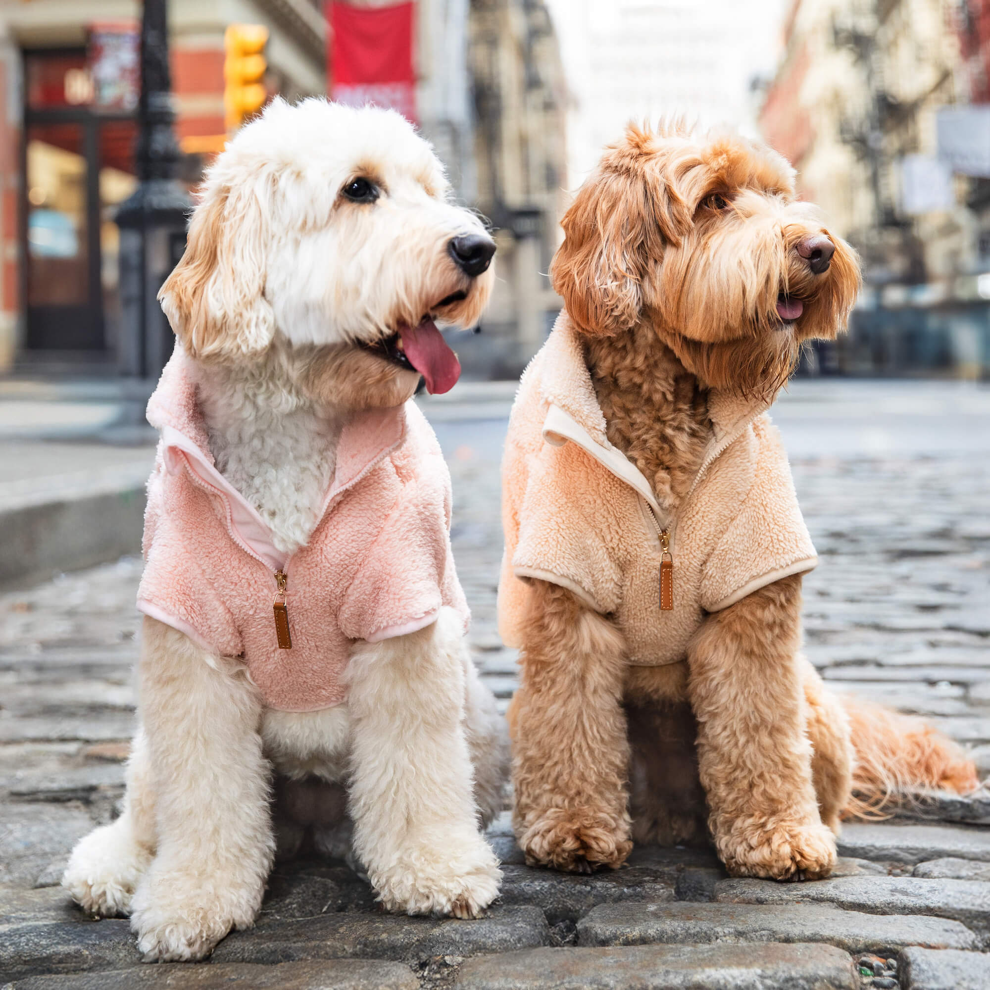 Wheat Quarter-Zip Sherpa Dog Jacket – The Foggy Dog