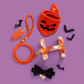 Jack-o’-Lantern Knit Dog Bandana, Pumpkin Spice Plaid Flannel Harness Walk Set, and Black Velvet Bow Tie Collar from The Foggy Dog