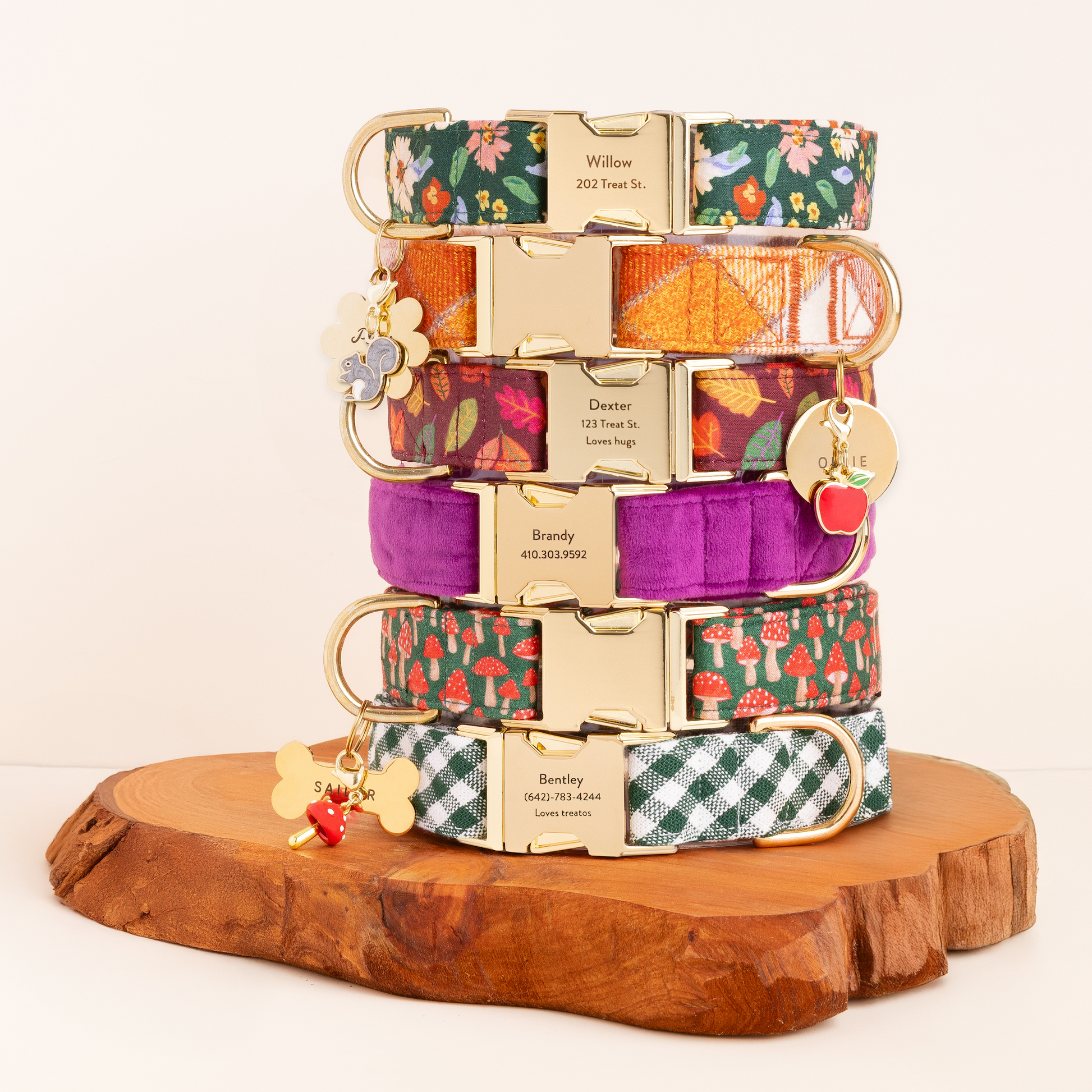 Fall Dog Collars, Pet ID Tags, and Charms from The Foggy Dog