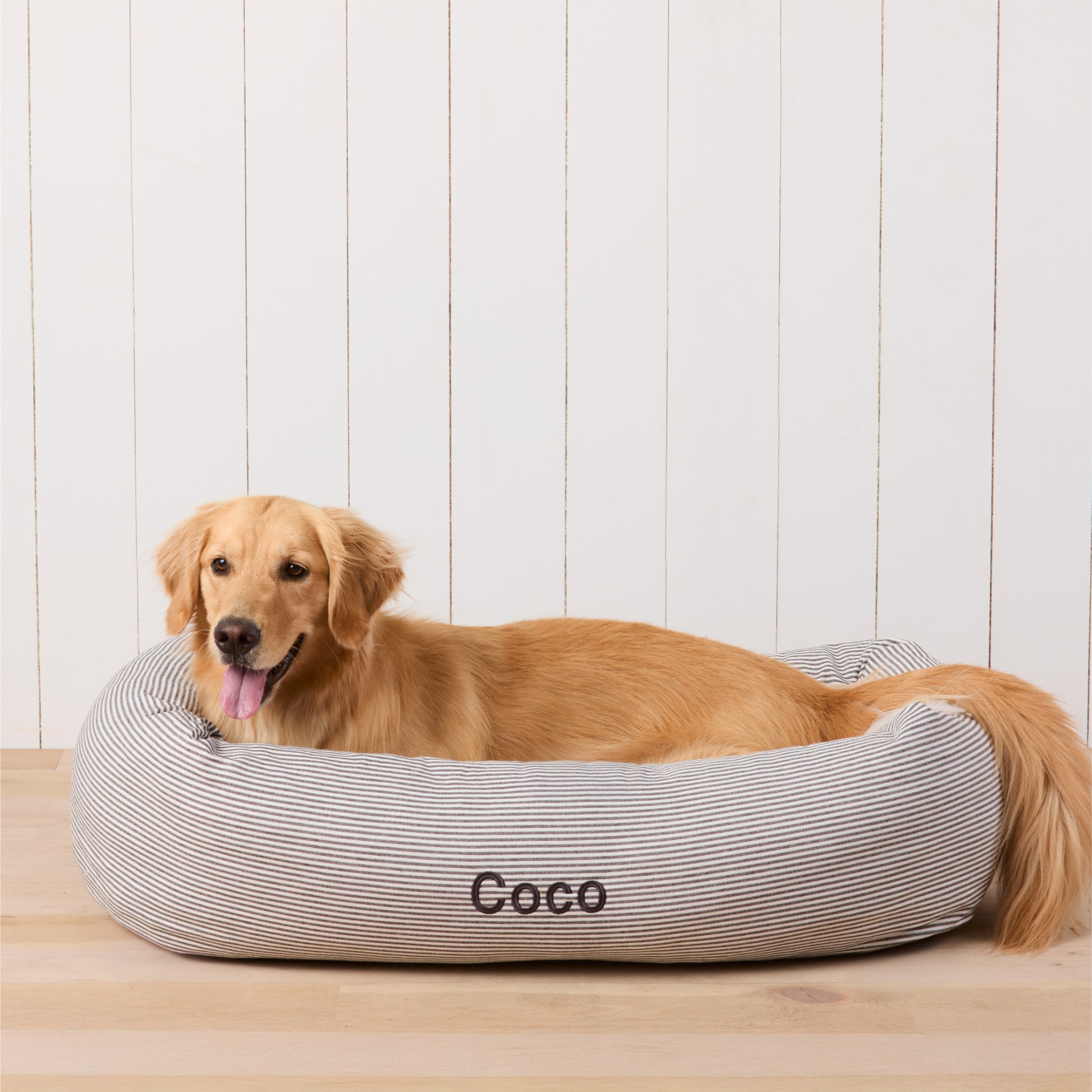 #Modeled by Holly (50lbs) in Large