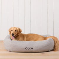 #Modeled by Holly (50lbs) in Large