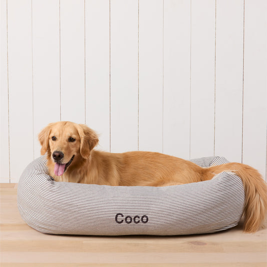 #Modeled by Holly (50lbs) in Large