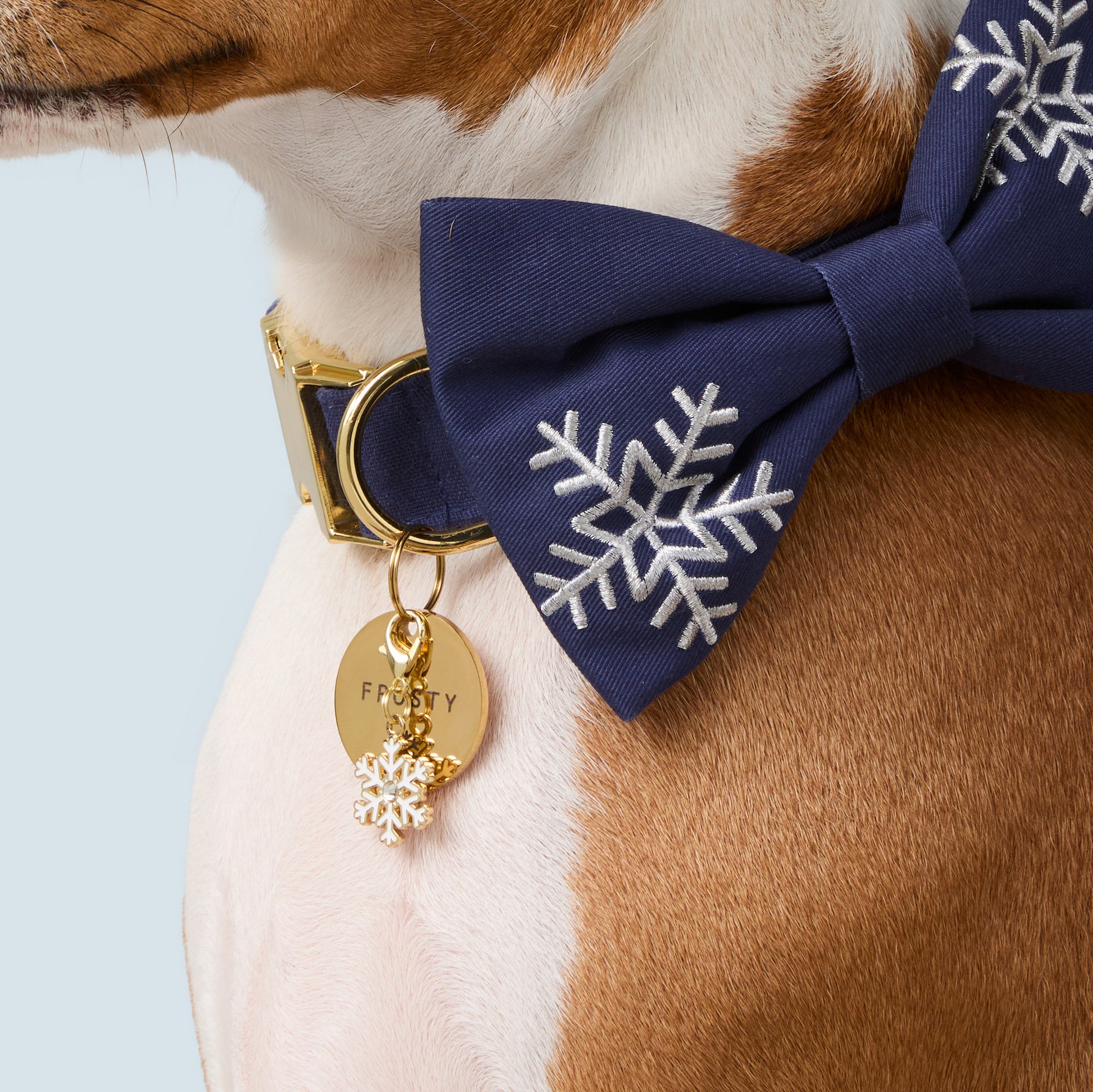 Snowflake Charm and Circle ID Tag from The Foggy Dog