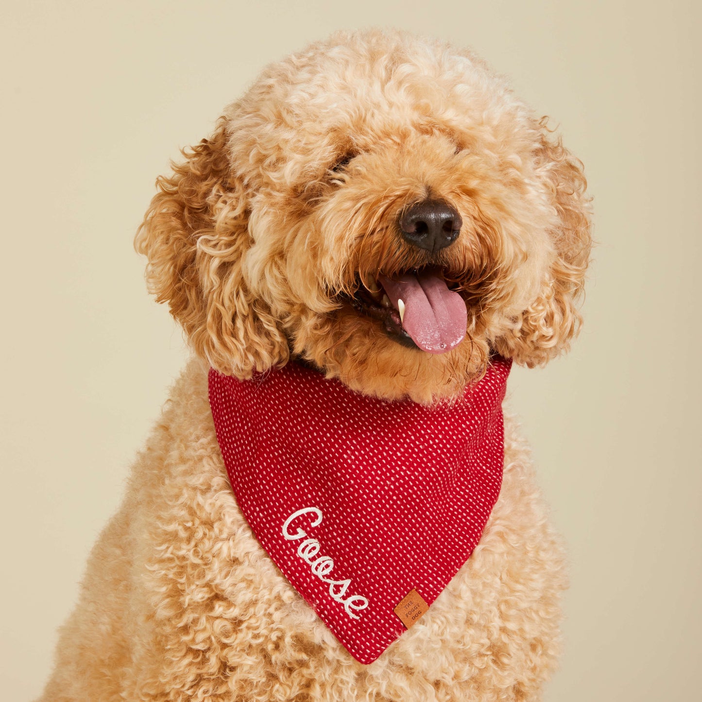 Berry Stitch Flannel Dog Bandana