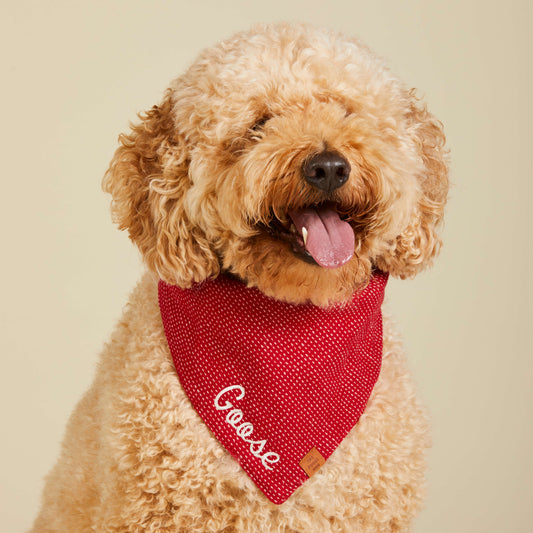 Berry Stitch Flannel Dog Bandana