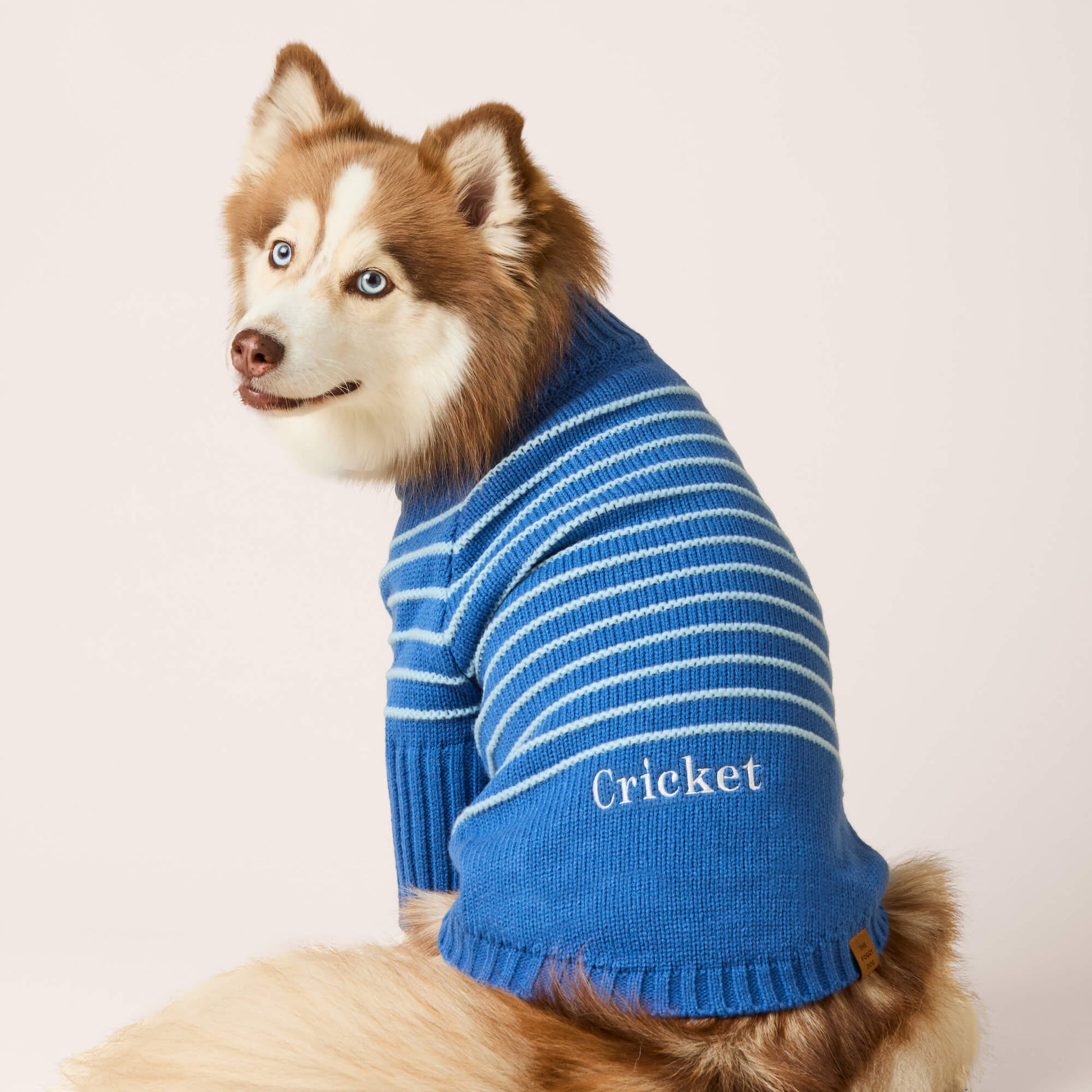 #Modeled by Rouka (36lbs) in Medium