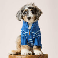 #Modeled by Blue (15lbs) in Small