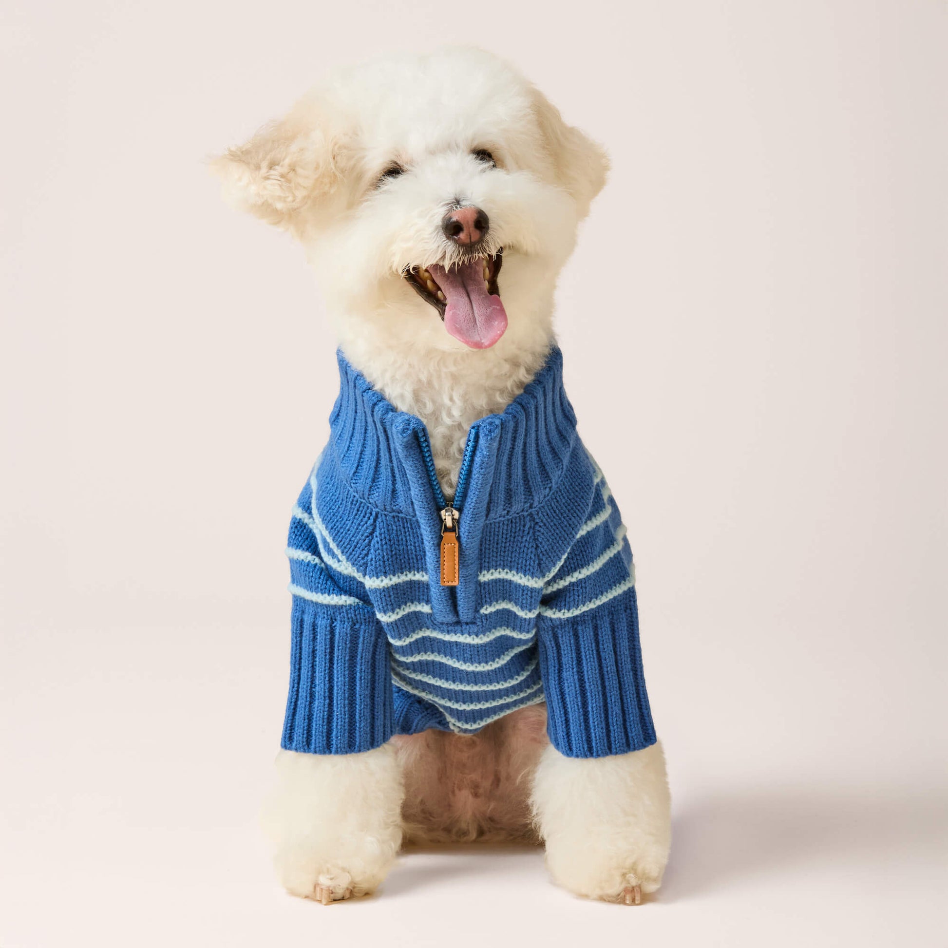 #Modeled by Mochi (14lbs) in Small