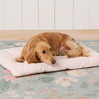 #Modeled by Charlie (12lbs) on a Medium travel mat